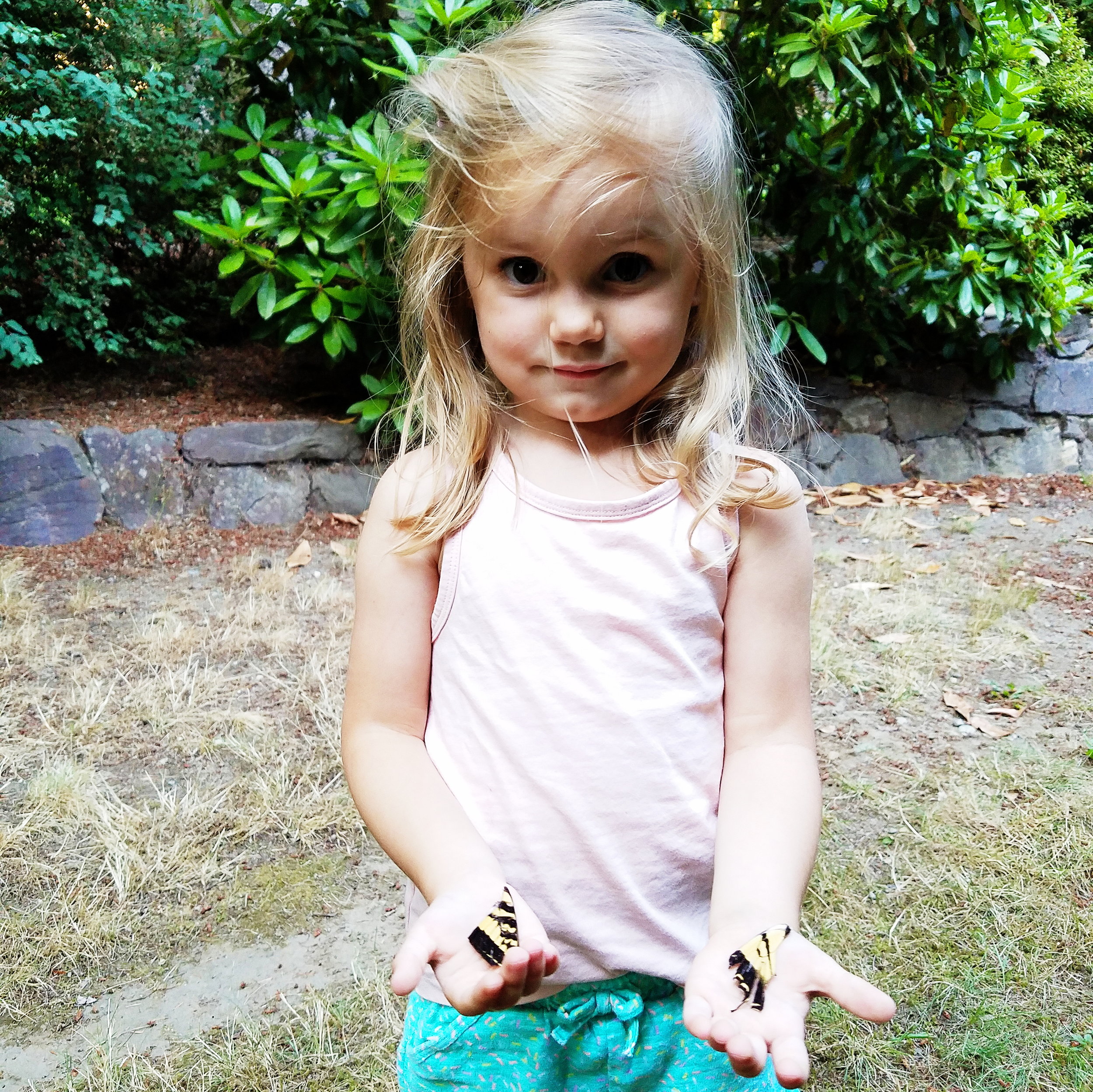 The niecelet was very impressed with the butterfly wings we found in my parents backyard