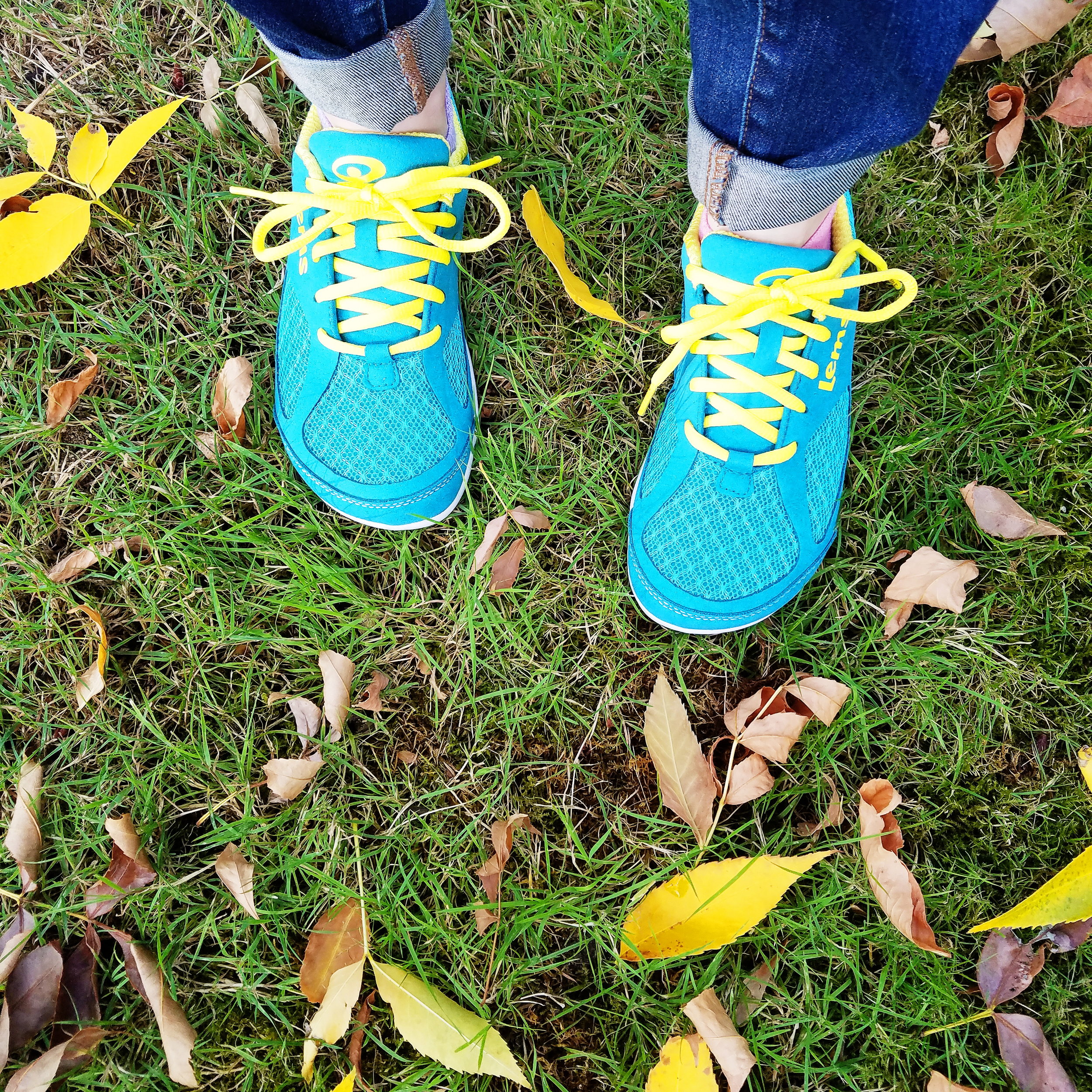 Love my cute new shoes, and the laces match the golden leaves outside my apartment!