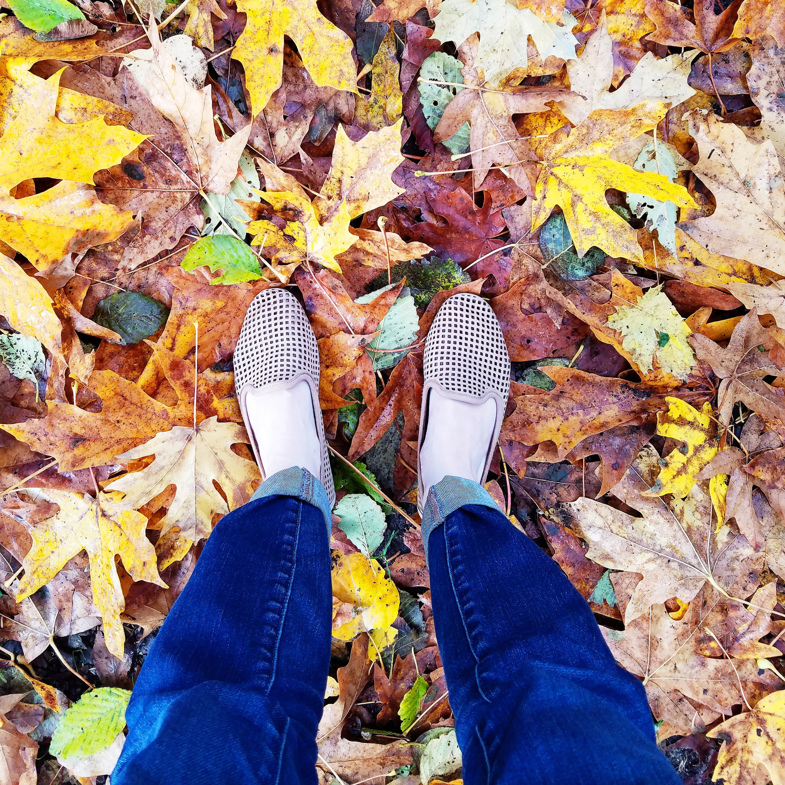 Feel like forever ago that it was warm enough for shoes without socks!