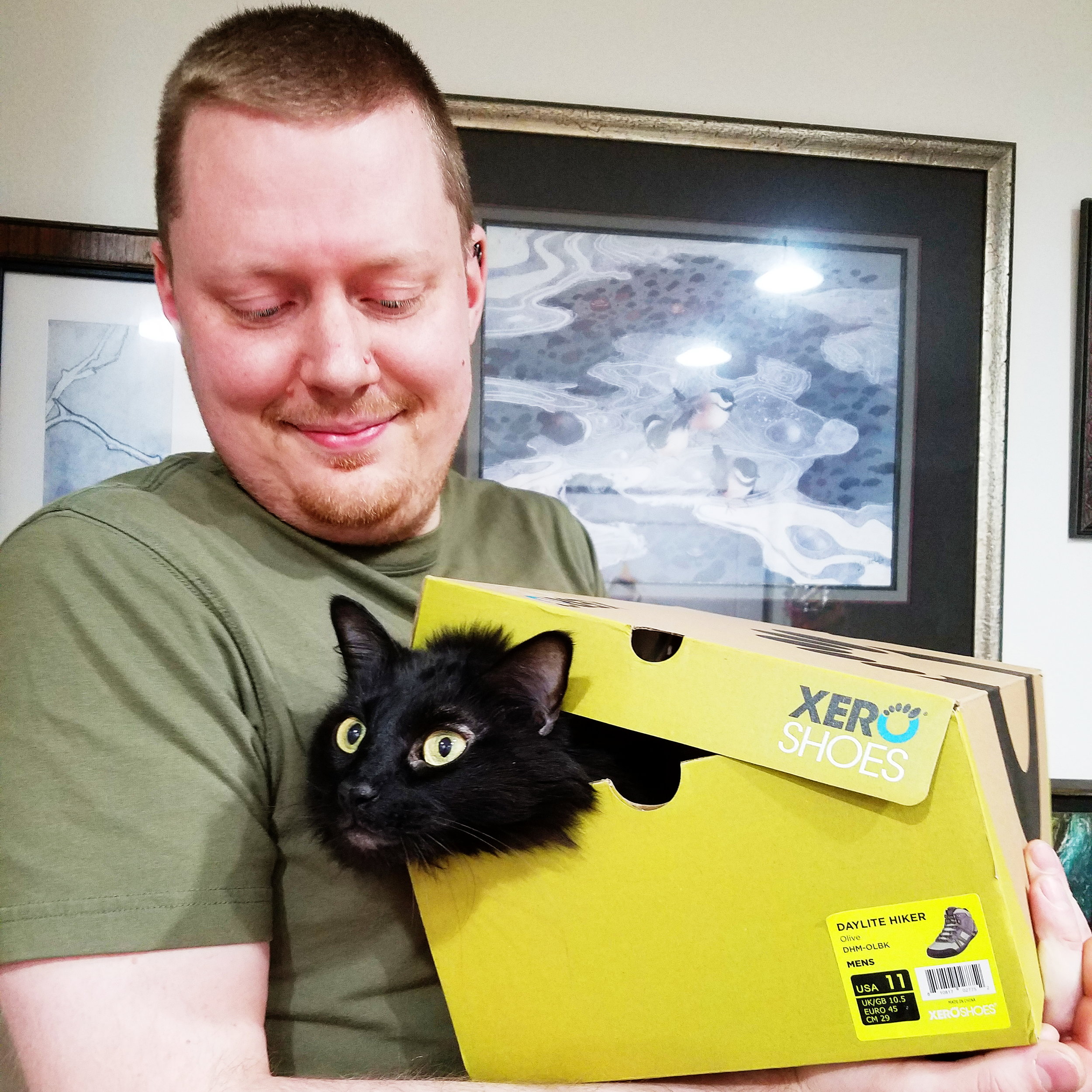 We finally found a box to match our cats eyes! 😂