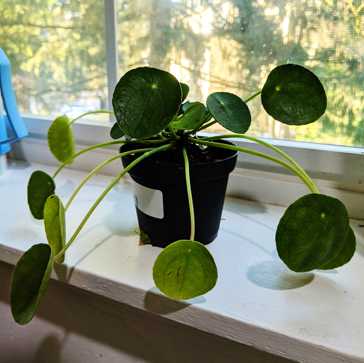 2019-03-09 03.03.20 1.jpg