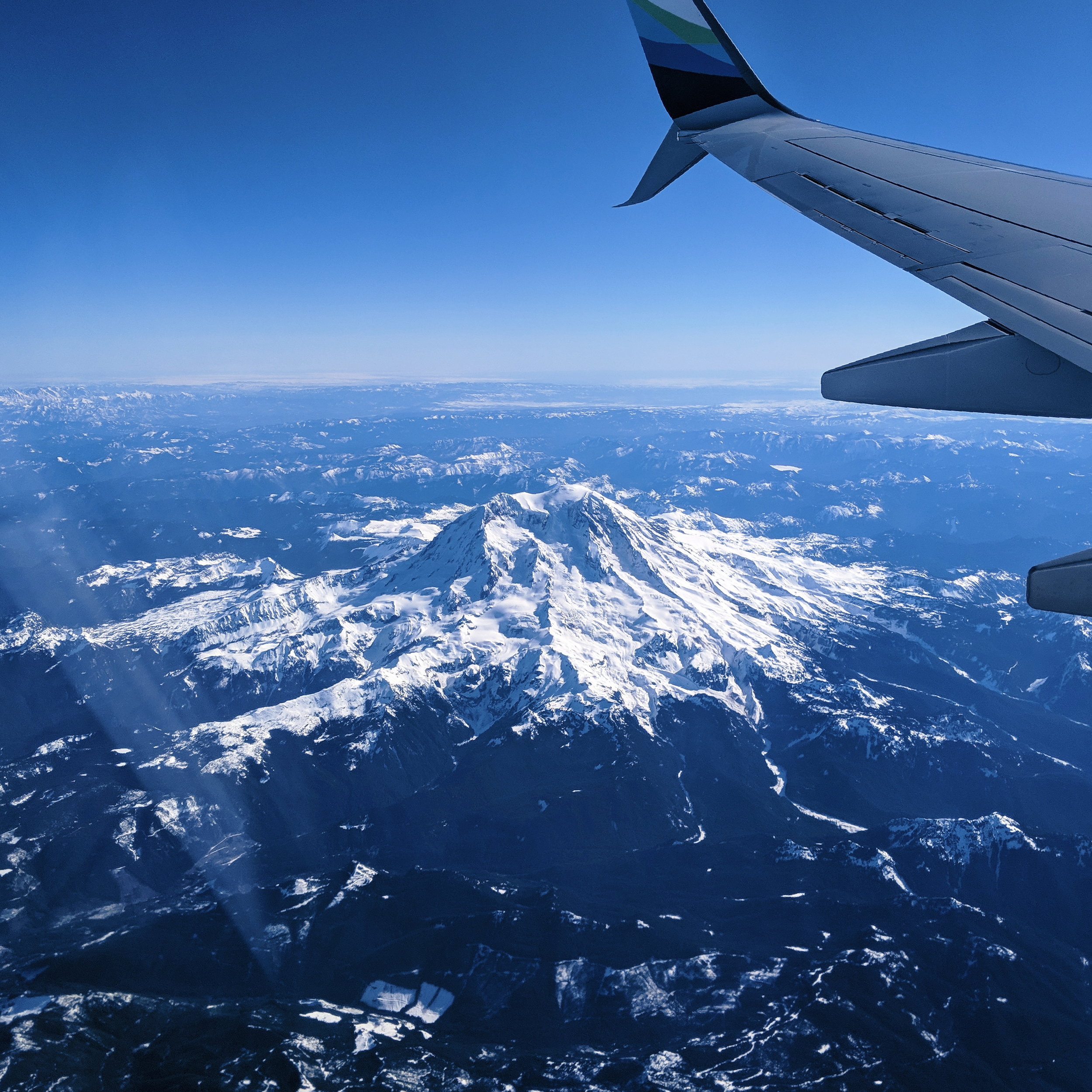 Rainier looking particularly lovely on my flight south