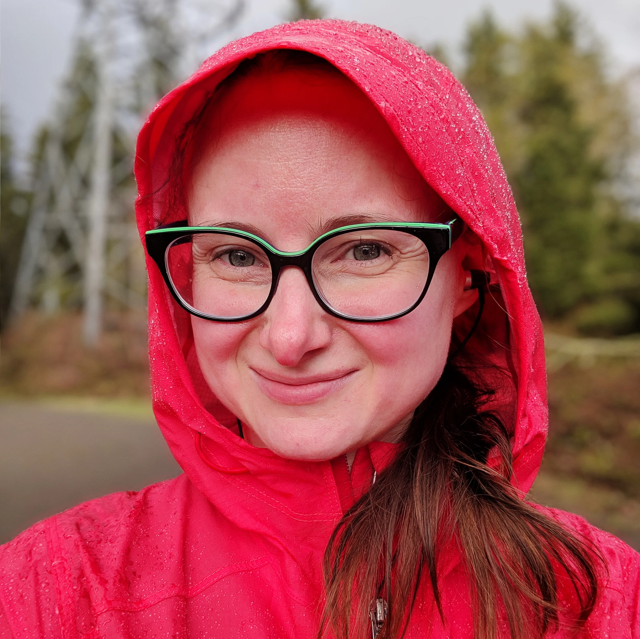 Good thing I wore my rain jacket even though the sun was shining when I left home for my walk!