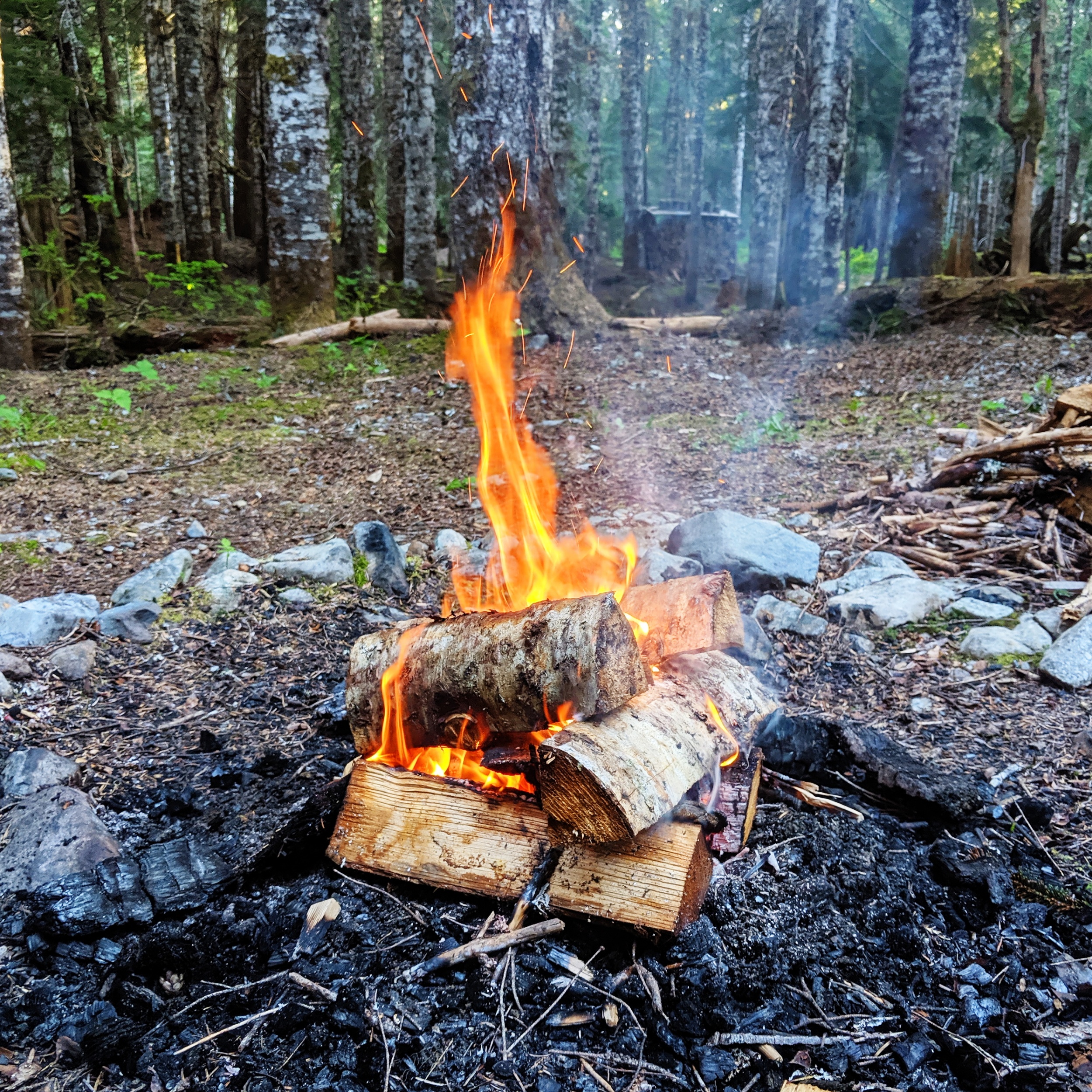 processed_2019-06-11 05.44.08 1.jpg