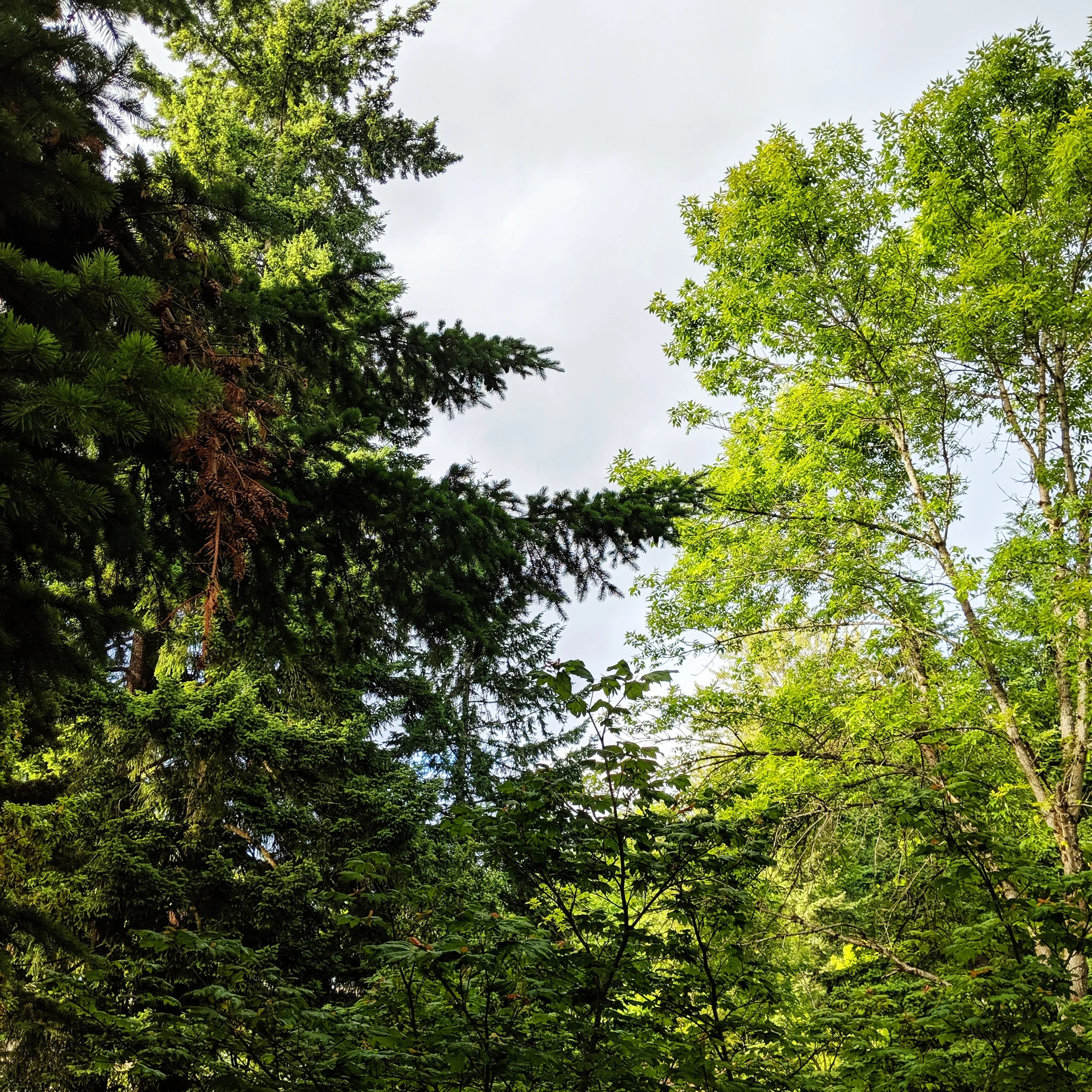 processed_2019-06-18 06.25.12 1.jpg