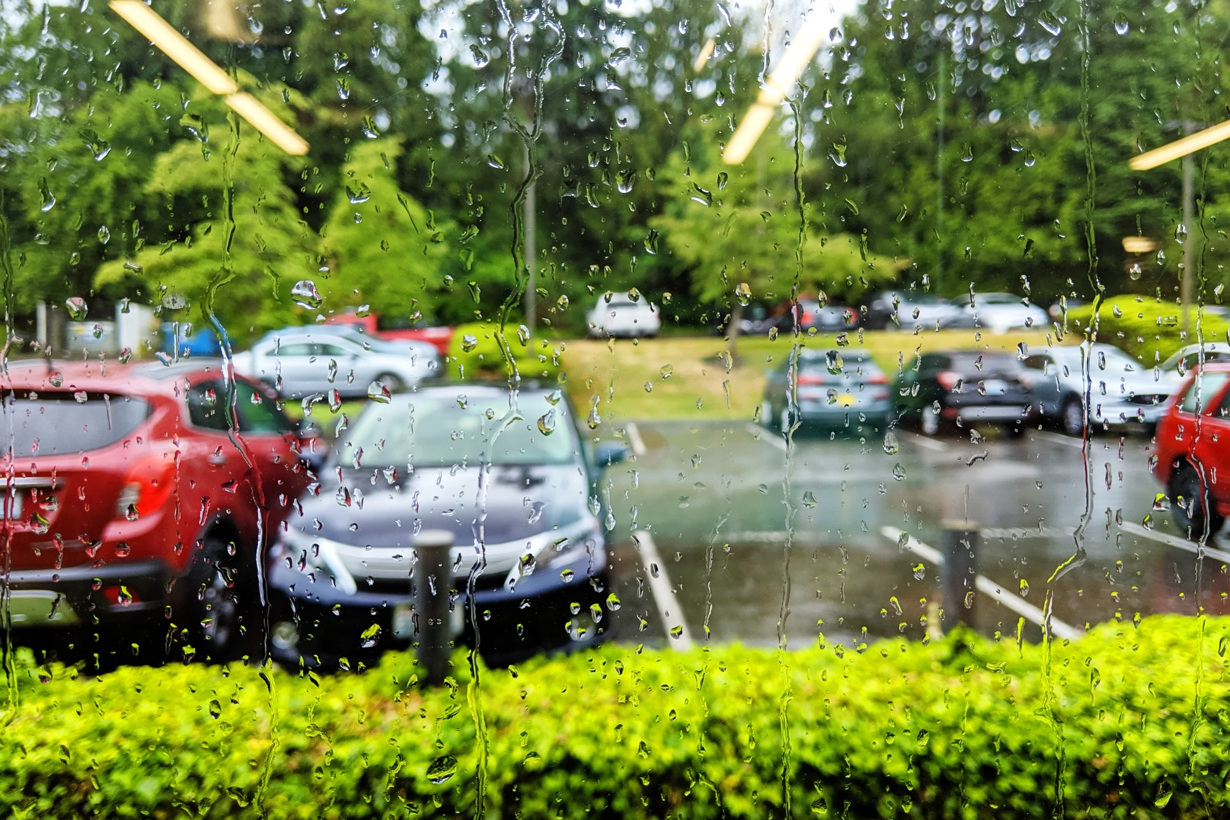 Rain streaming down the office windows - the most welcome sight!