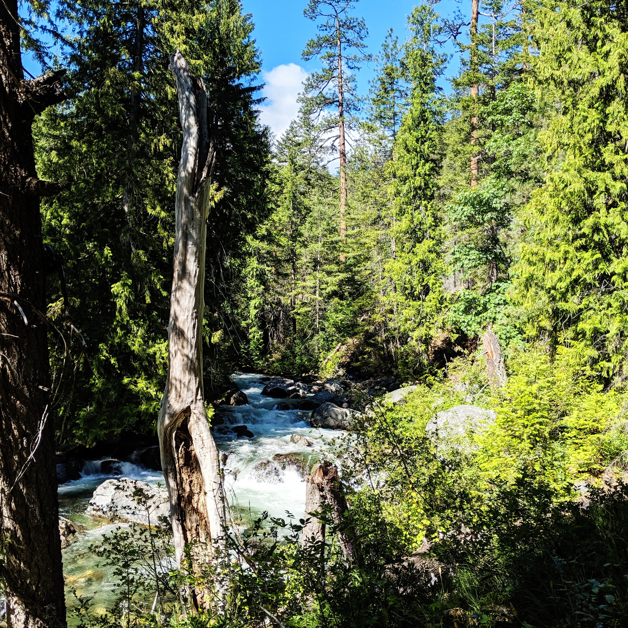 processed_2019-06-18 06.25.10 2.jpg