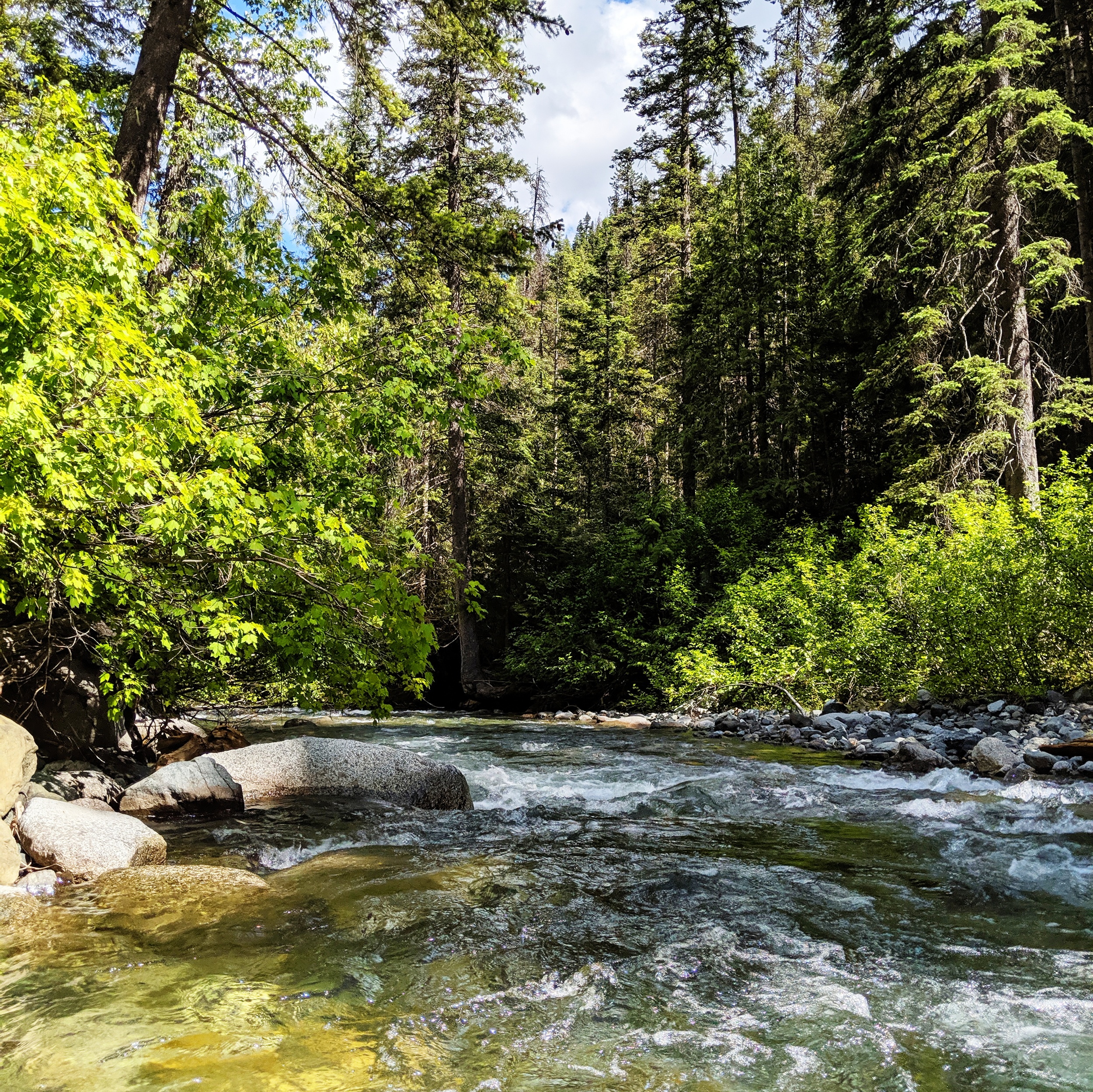 processed_2019-06-18 06.25.07 2.jpg