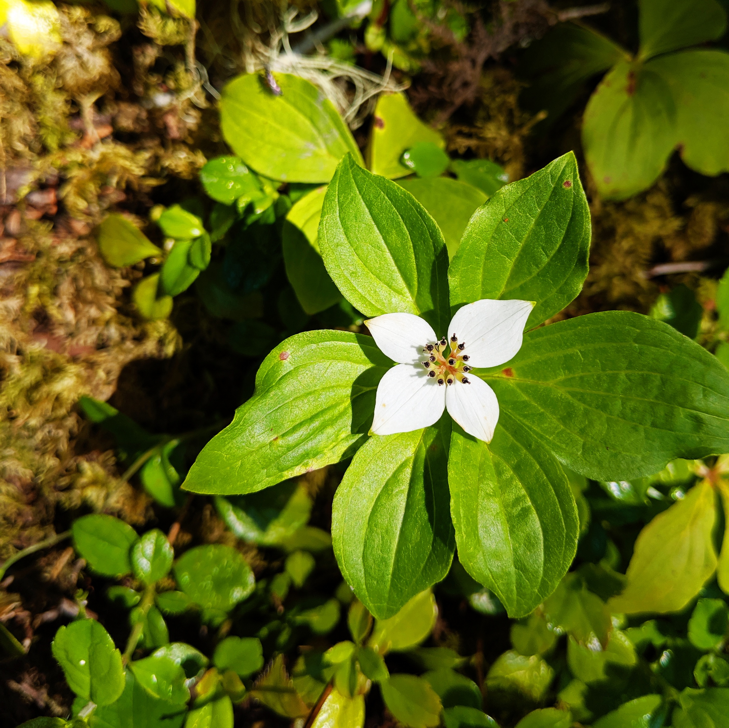 processed_2019-06-22 10.43.08 1.jpg