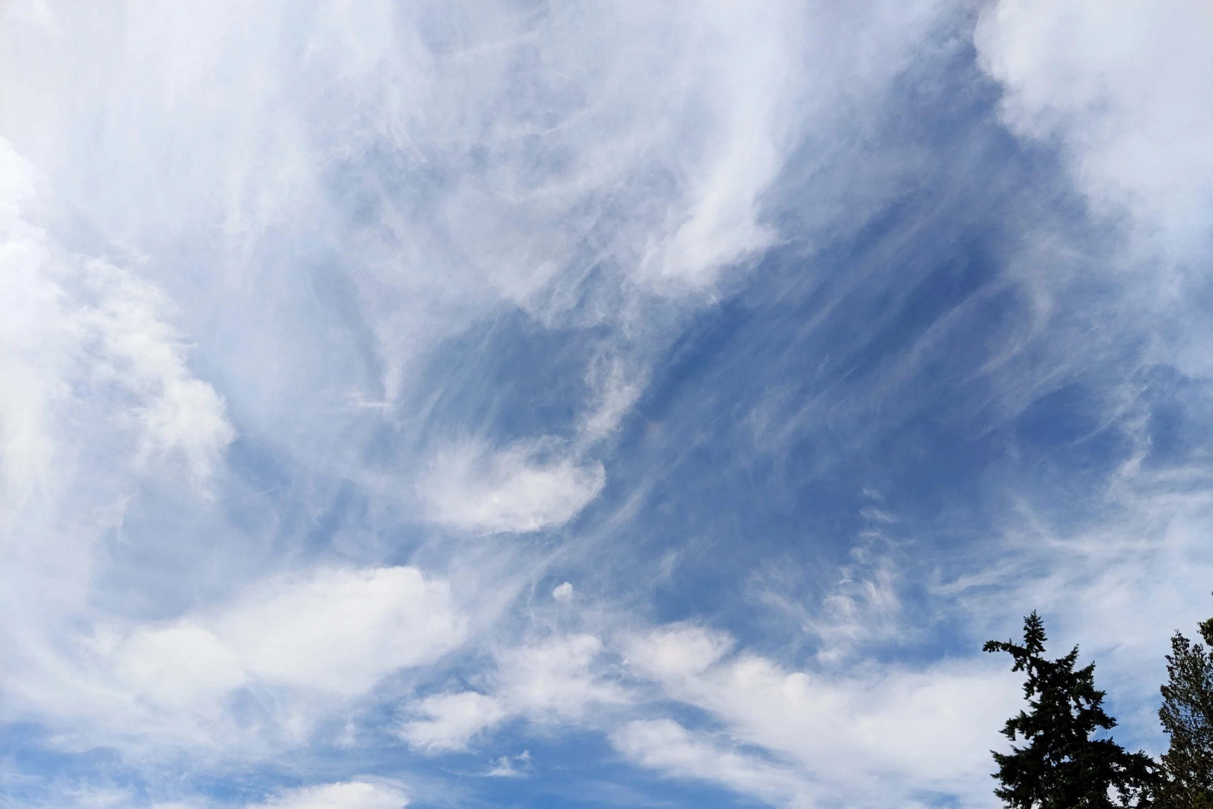 processed_2019-06-22 10.43.12 1.jpg