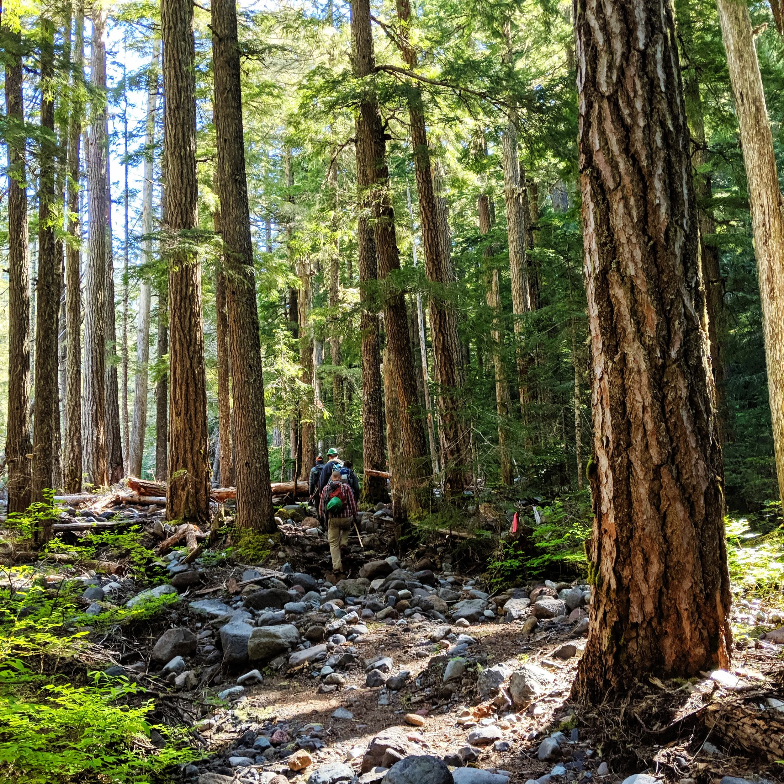 processed_2019-06-22 10.43.10 1.jpg