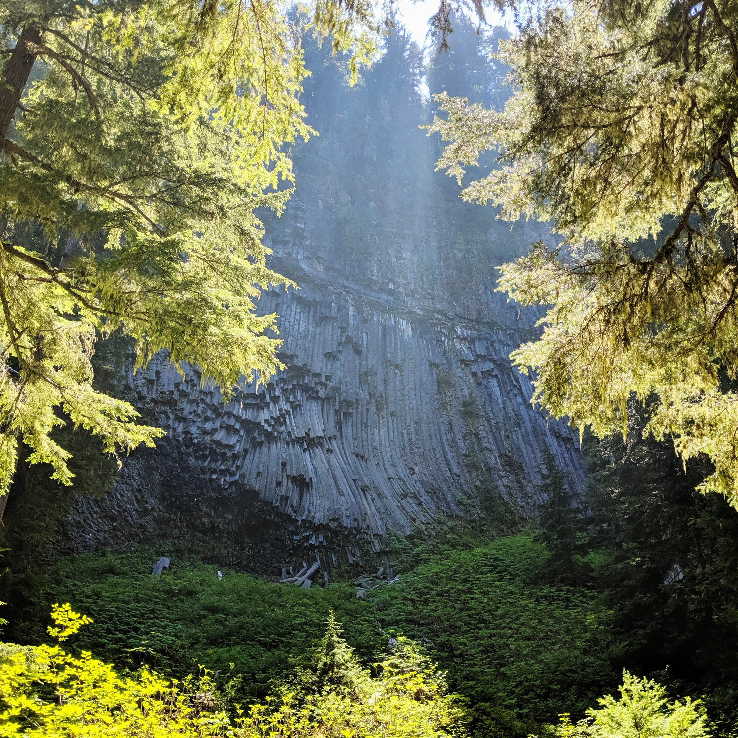 processed_2019-06-16 06.21.53 2.jpg