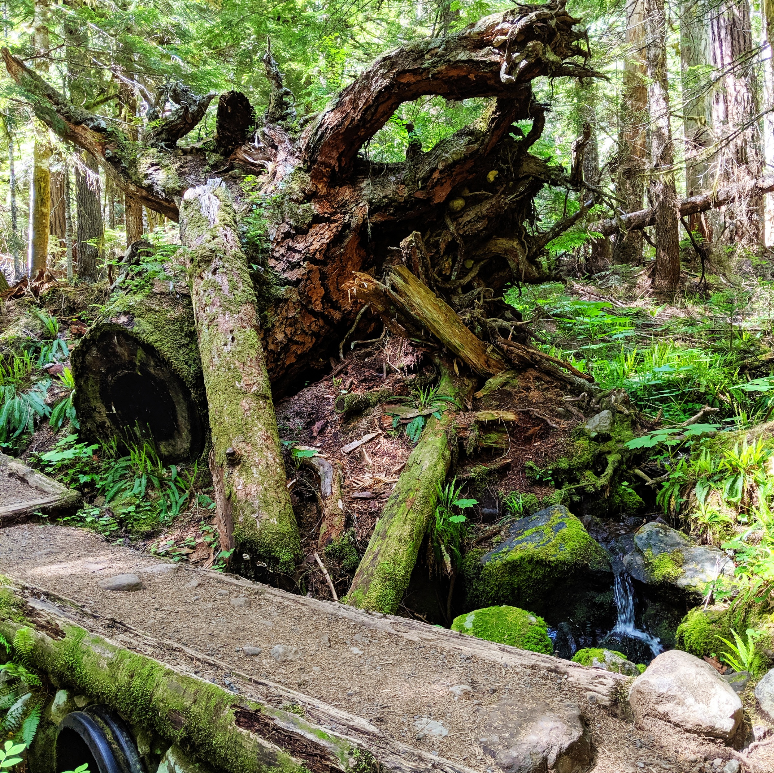 processed_2019-06-22 10.43.02 1.jpg