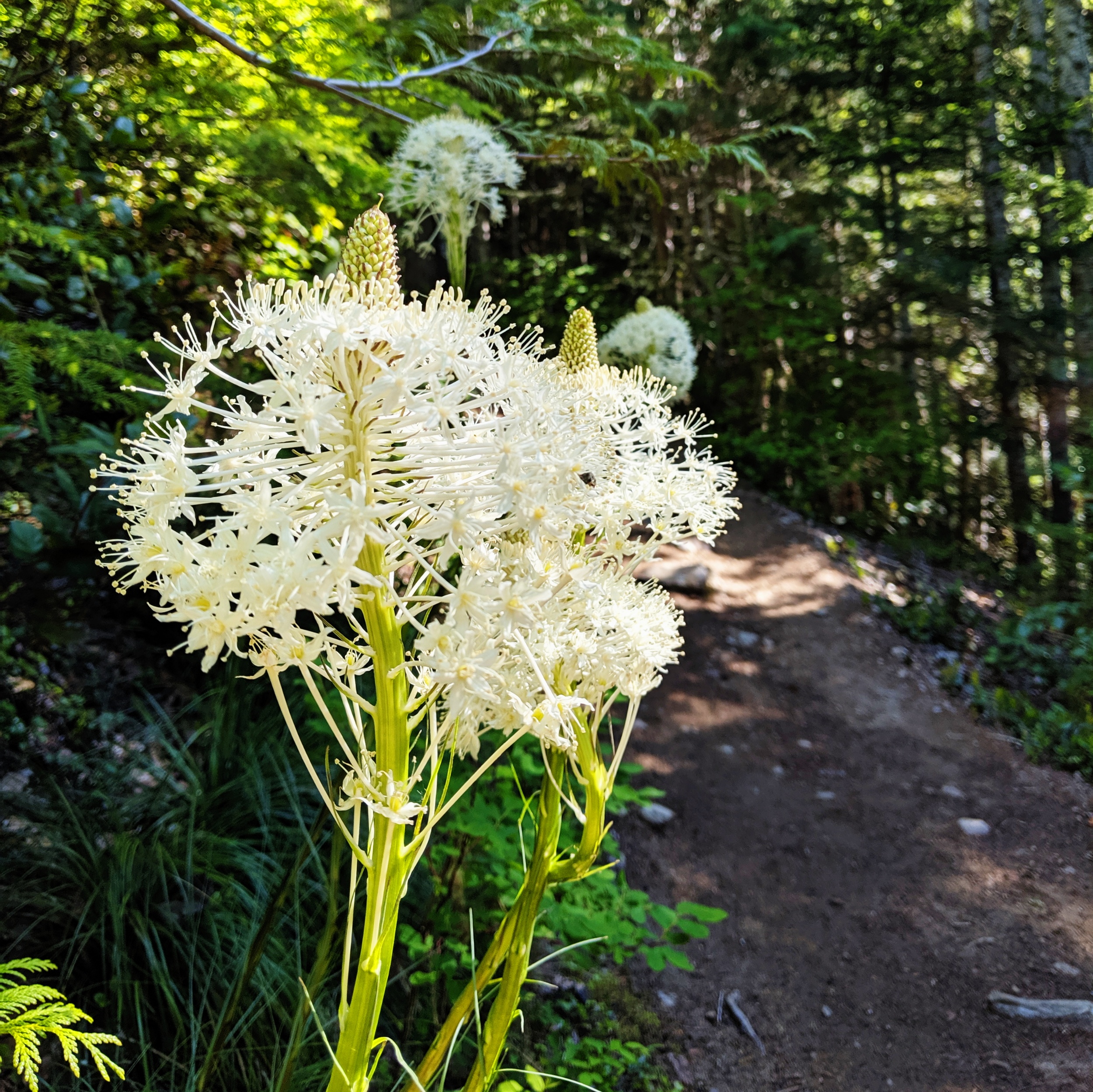 processed_2019-06-16 06.21.50 3.jpg