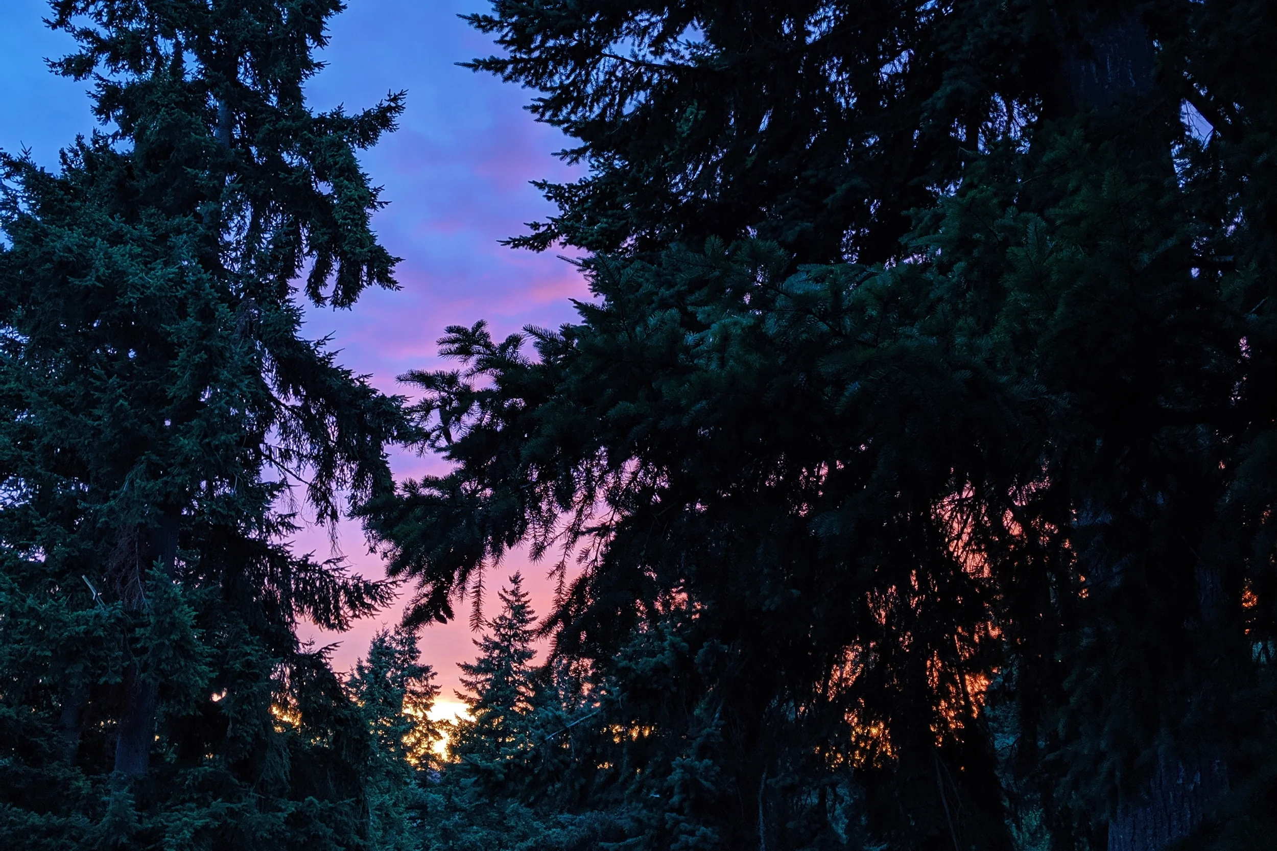 processed_2019-07-09 07.08.18 1.jpg