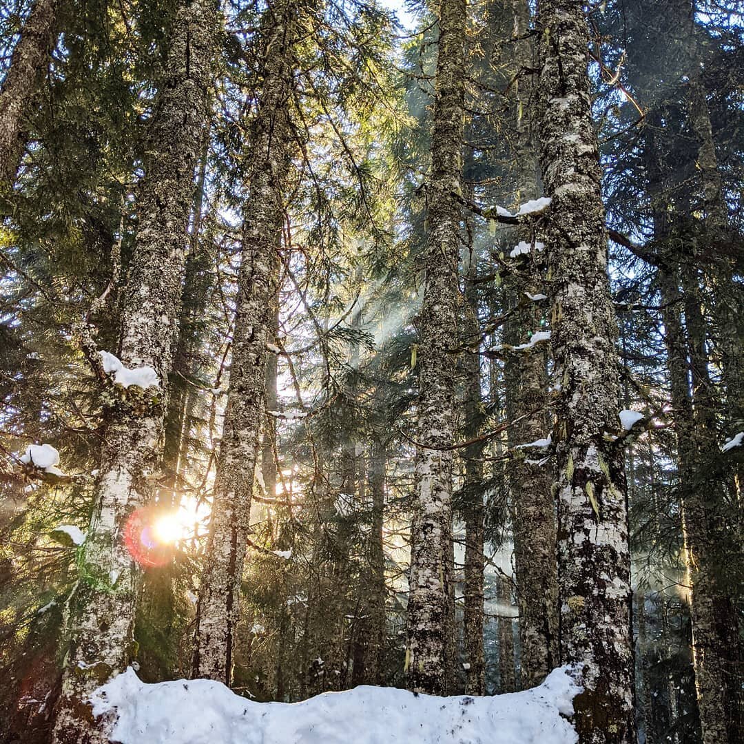 Just a little winter sun for your Monday. You're welcome. ❄️🌞😍