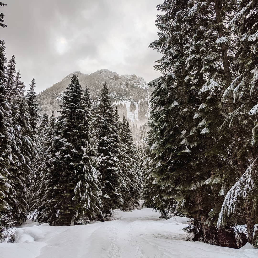 Morning magic, and a trail all to myself! ❄️