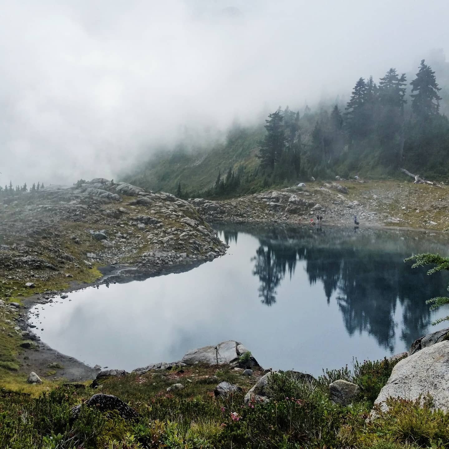 Think cold thoughts... 🌨️🌬️❄️ 108&deg; outside and 91&deg; inside my house has me dreaming of foggy alpine lakes, icy glacial waterfalls, and snowy lowland  paths. #melting #pnw #summer #sheexplores #washington #vscocam