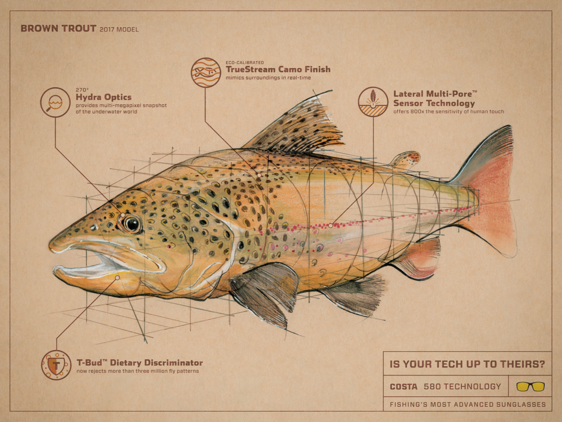 Screen Shot 2016-06-15 at 12.14.09 PM.png