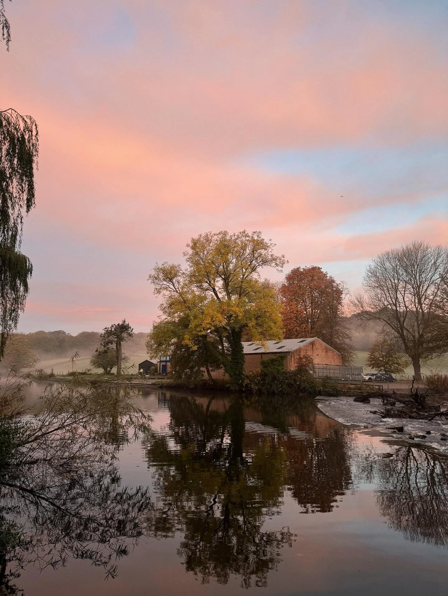 I’ve been thinking a lot about the power of a spoken word. When we speak aloud, but even more so when we quietly whisper to ourselves.
It might sound a little bold to say that every wish I’ve ever made has come true, but in my experience