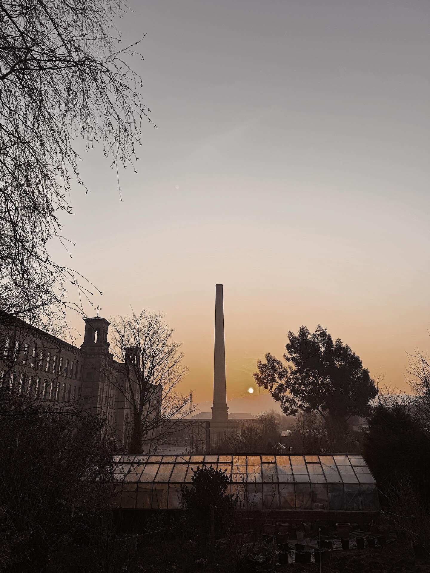 After the chaos of 2024, I entered this year with no real expectations. But somewhere along the way, a few small shifts began to change everything:

&ndash; I stopped drinking.
&ndash; I swapped gym classes for strength training.
&ndash; I cut out gl