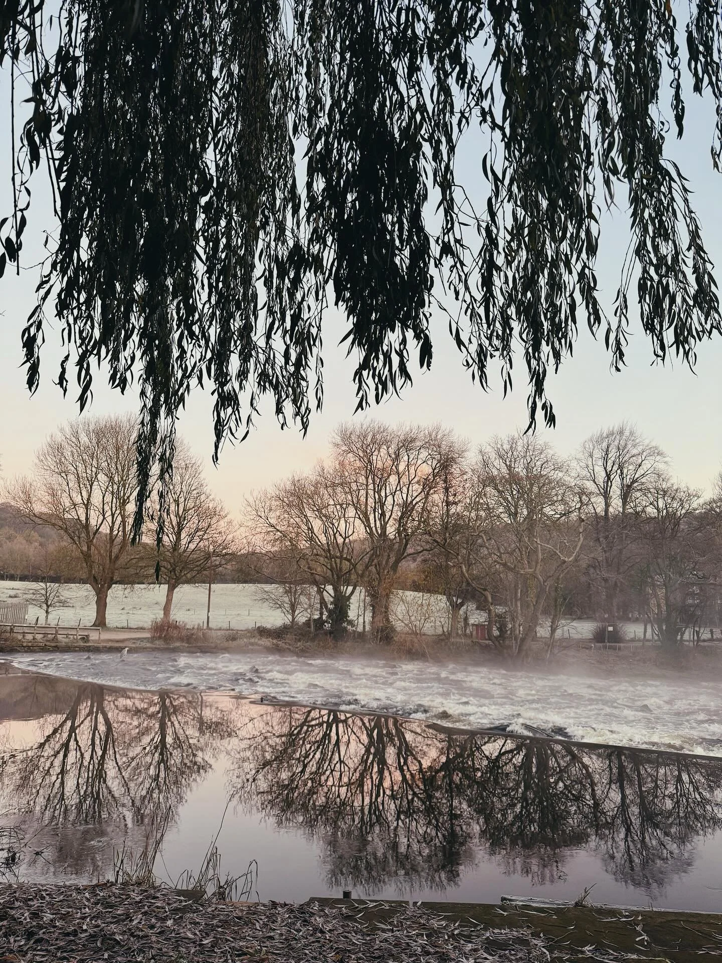 Each time I stand before a canvas, I feel myself soften. 

It becomes a ritual of healing, a kind of meditation, where I align myself with the energy of the creator, and wrap myself in gratitude for the simple gift of being here, now. 

How lucky am 