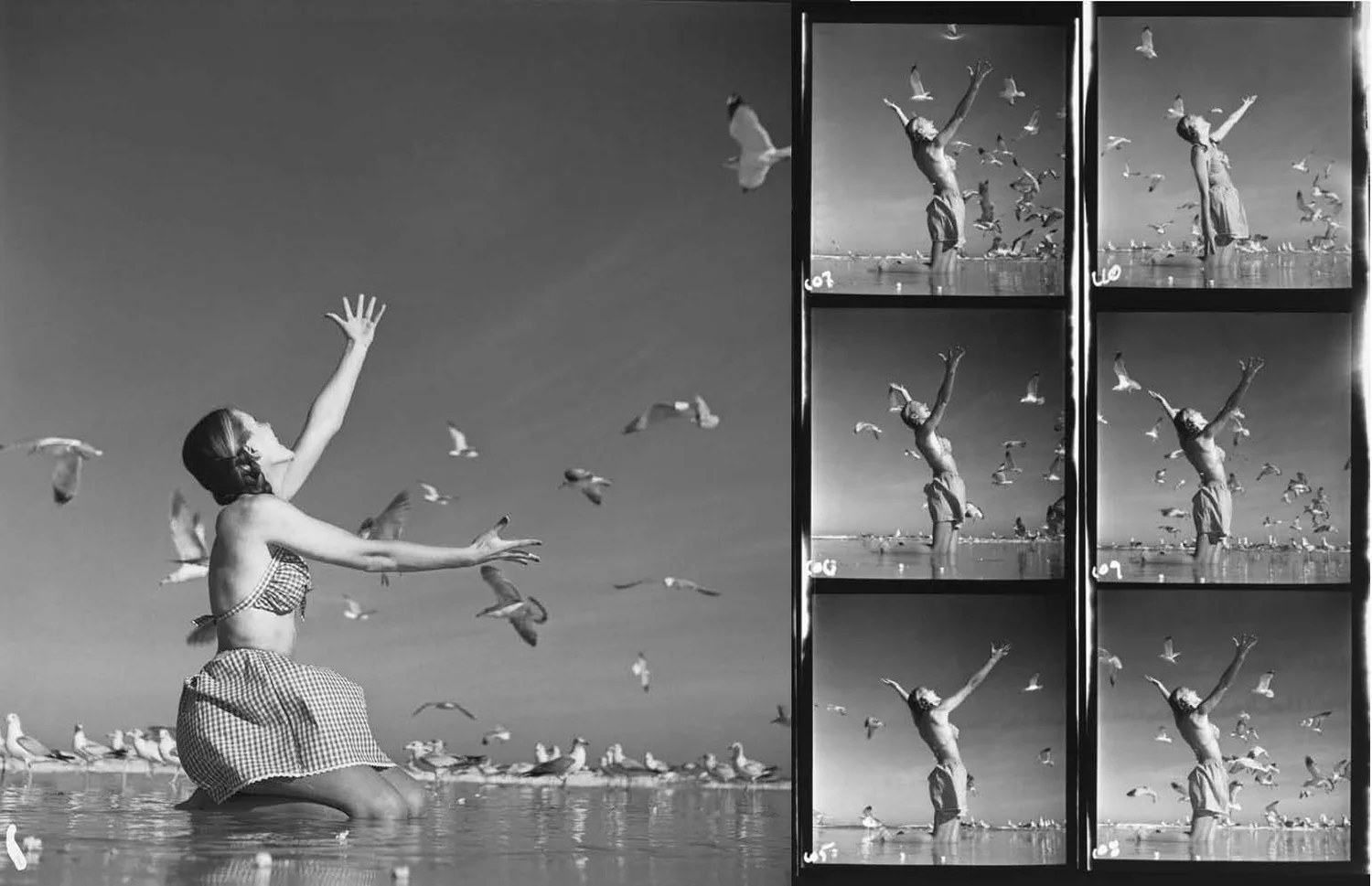 Avedon Fashion 1944-2000 — The Richard Avedon Foundation