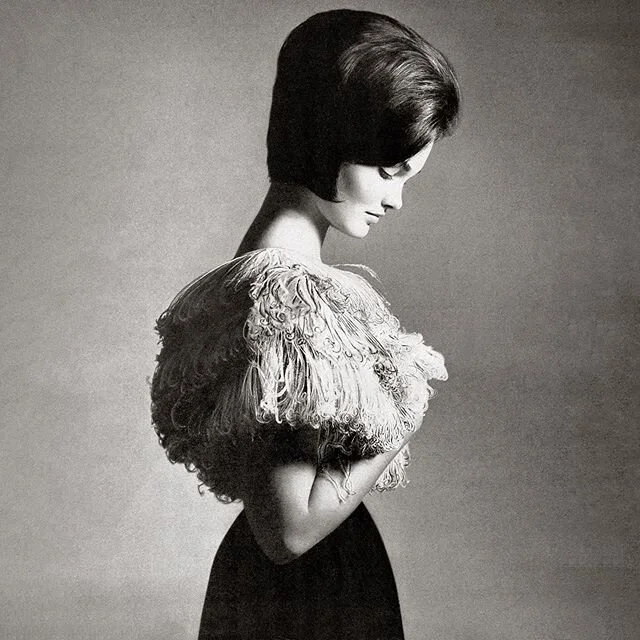 Henrietta Tiarks, Marchioness of Tavistock, ostrich feathers by Bersoie, New York, April 23, 1961.
.
.
.
#richardavedon #henriettatiarks #harpersbazaar