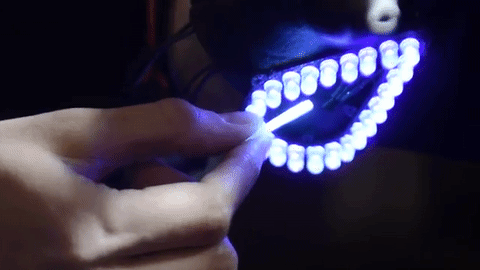 wl-bl-3.gif