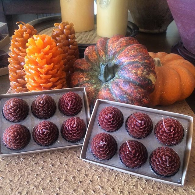 These pine cone tea lights and candles will make the perfect hostess gift! #interiors #interiordesign #candles #falldecor #hostessgift #rogersandmcdaniel