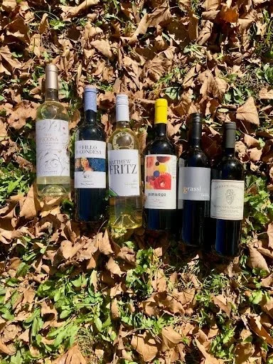 Small Vineyards Import Tasting