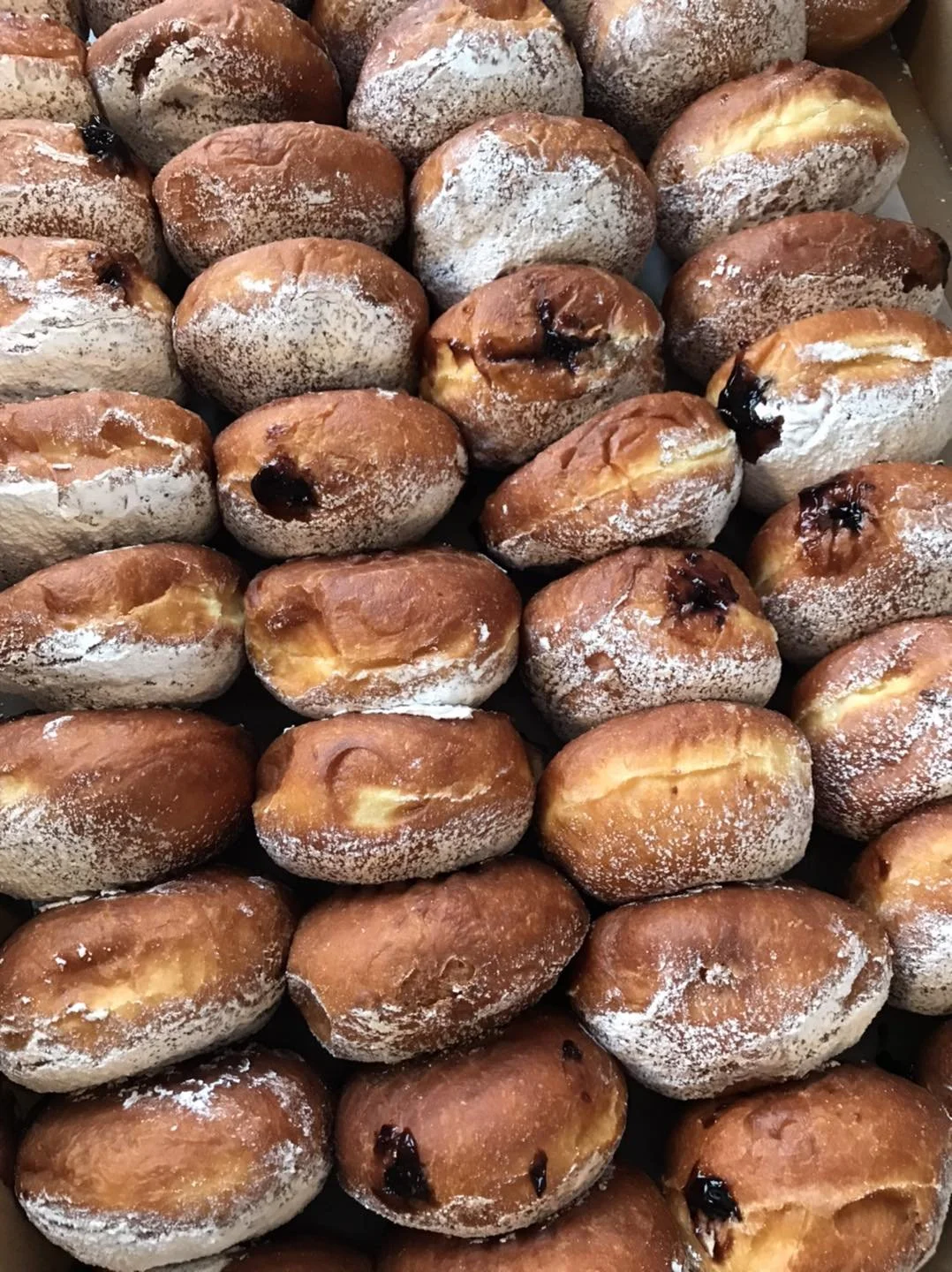 Pączki Day 
