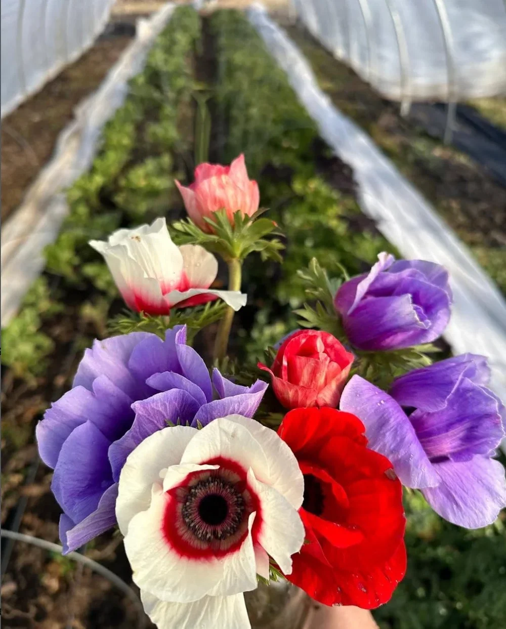 Galentine’s Day at Bløm