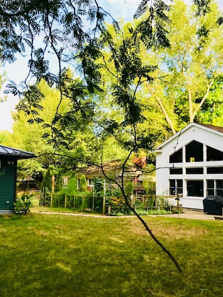 20180729 Hanging branch.jpg
