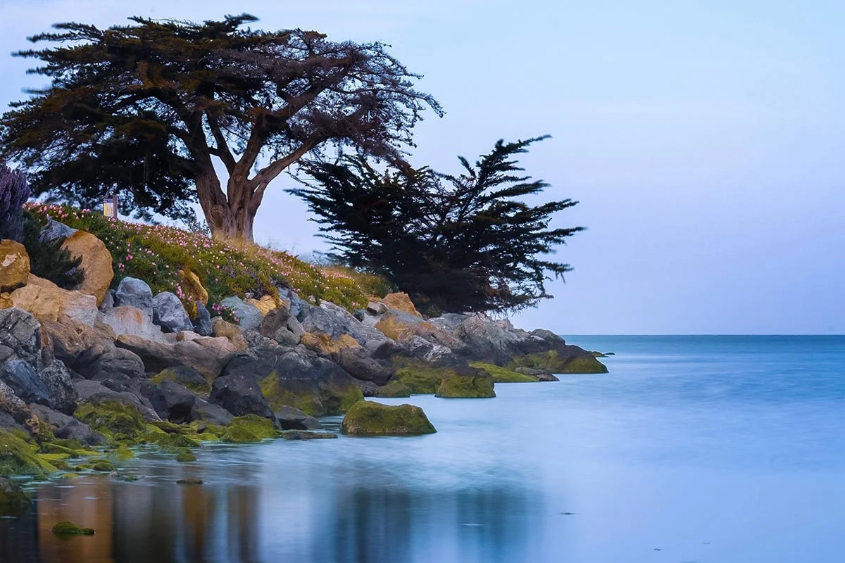 Photo by Robert P. Ho