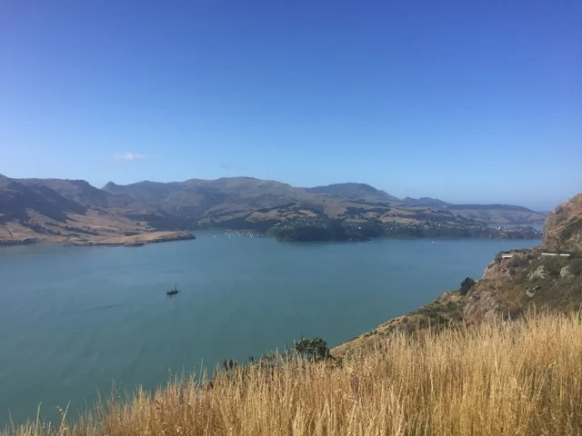 IMG_5553.jpeg