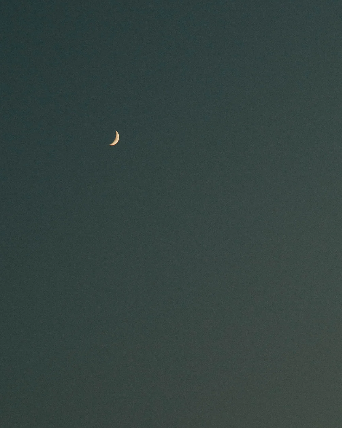 147A8942.jpg
