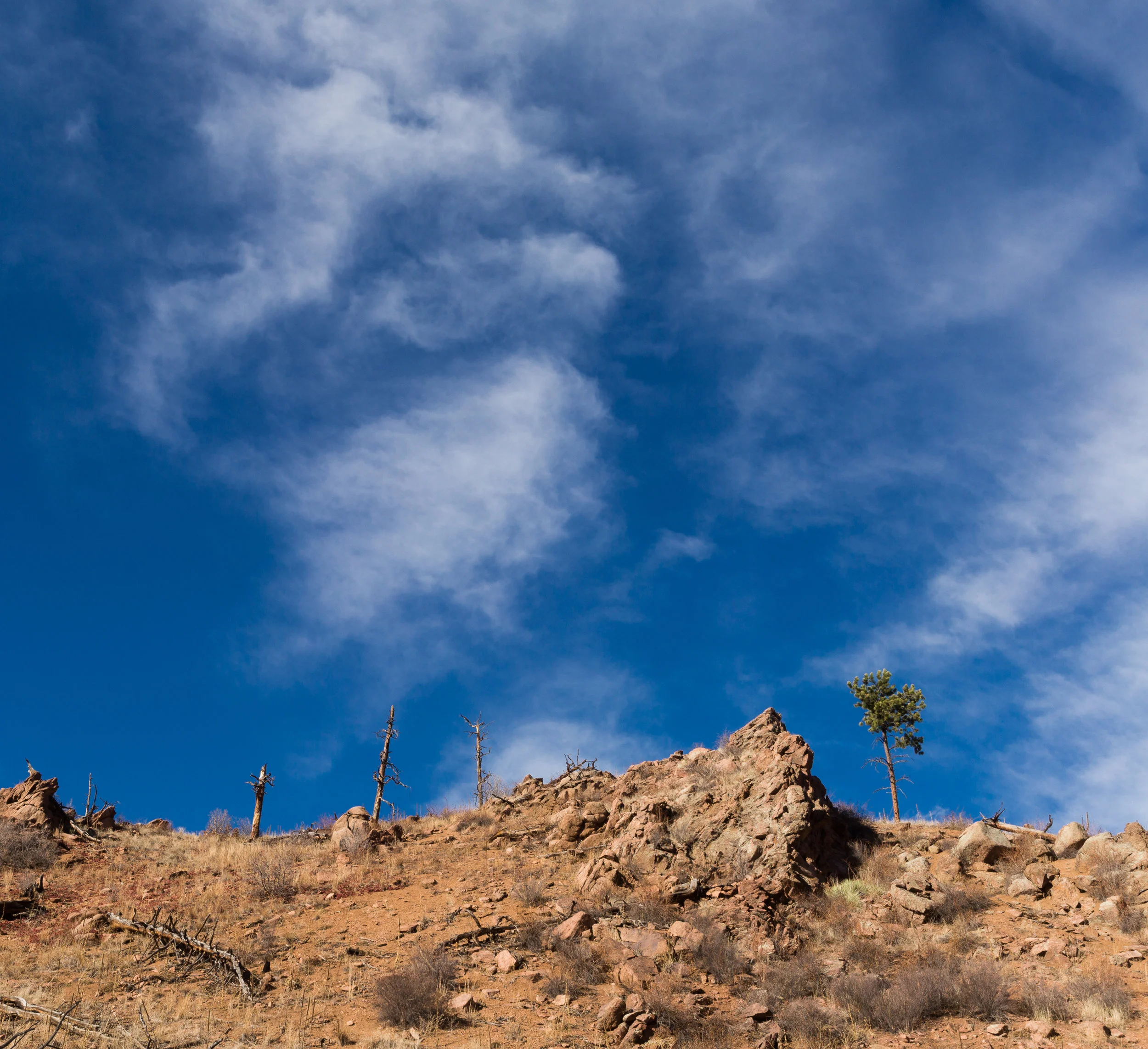 Pike_National_Forest_Fire-3991.jpg