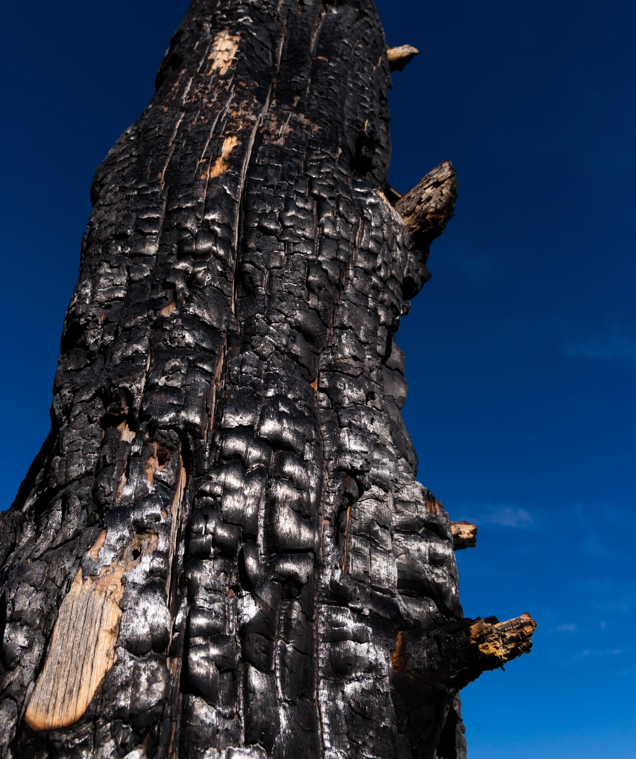 Pike_National_Forest_Fire-4032.jpg