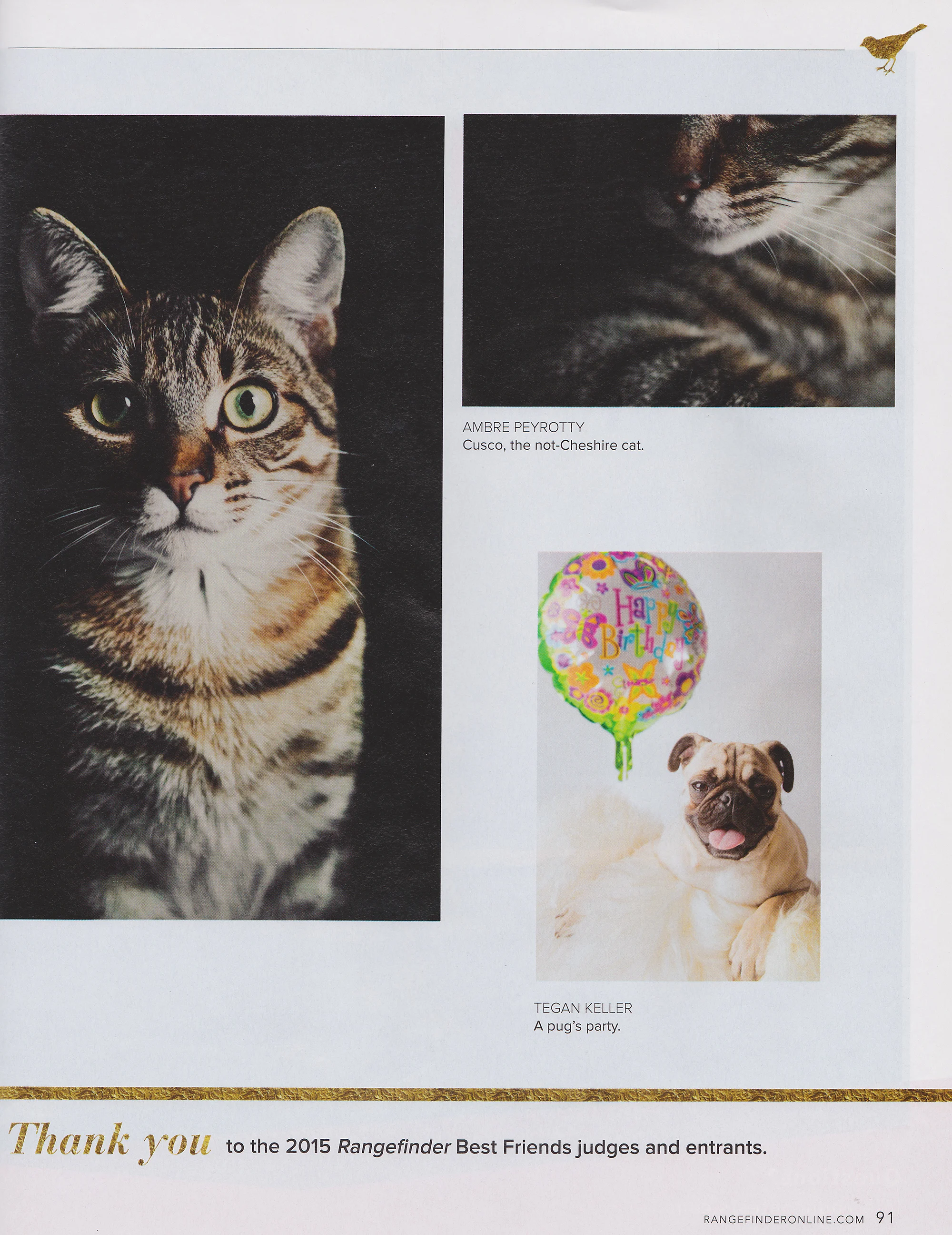 Published in the April 2015 issue of Rangefinder Magazine. Click to view 2015 Gallery.