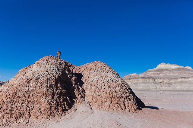 I'm itching for some colorful desert dirt. What's your favorite springtime desert destination? #newmexicobeauty #visitnewmexico #colorfuldirtpiles #geologichistory #layers #paintedhills #desertlove #artisticinspiration