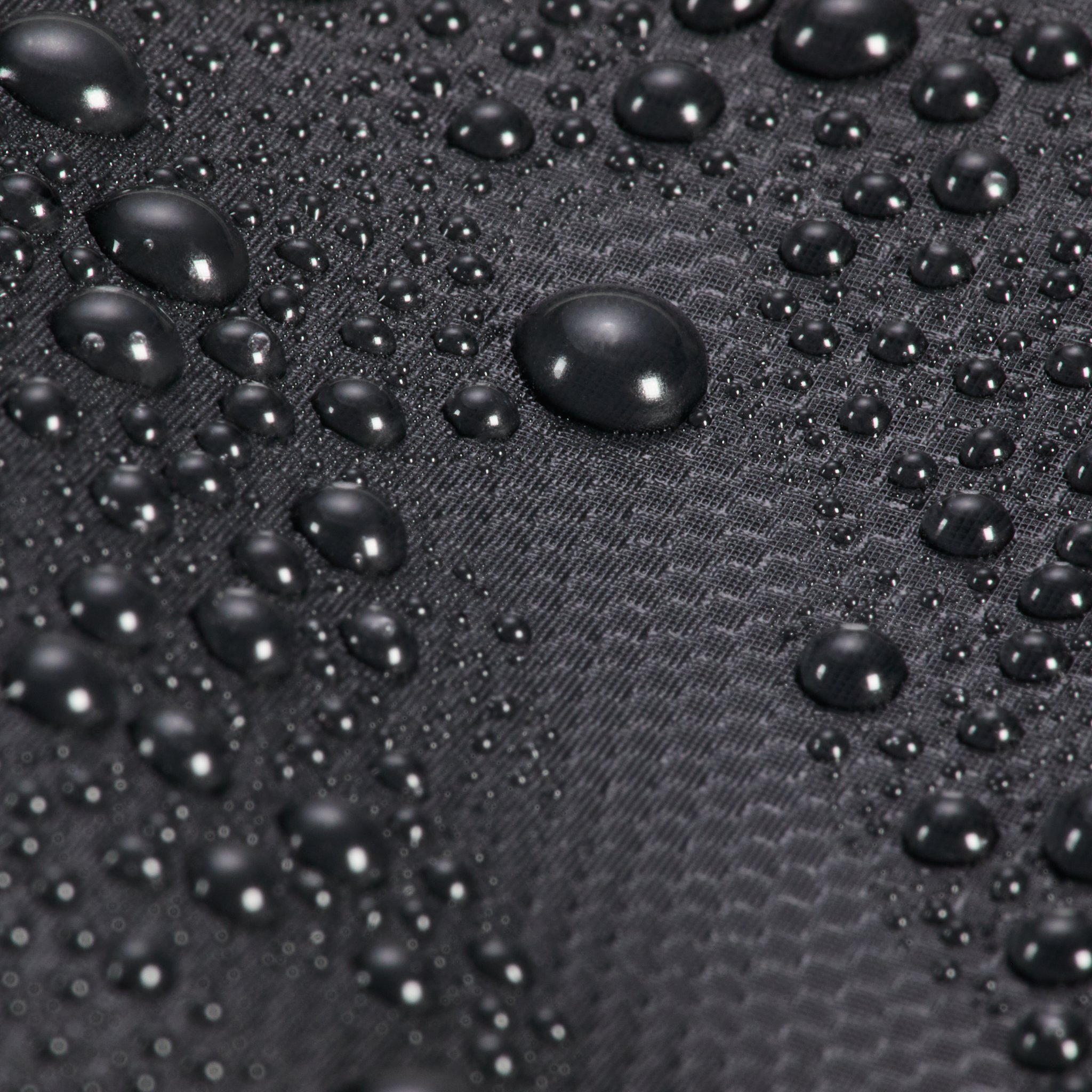 WEB_Okto_1593.jpg