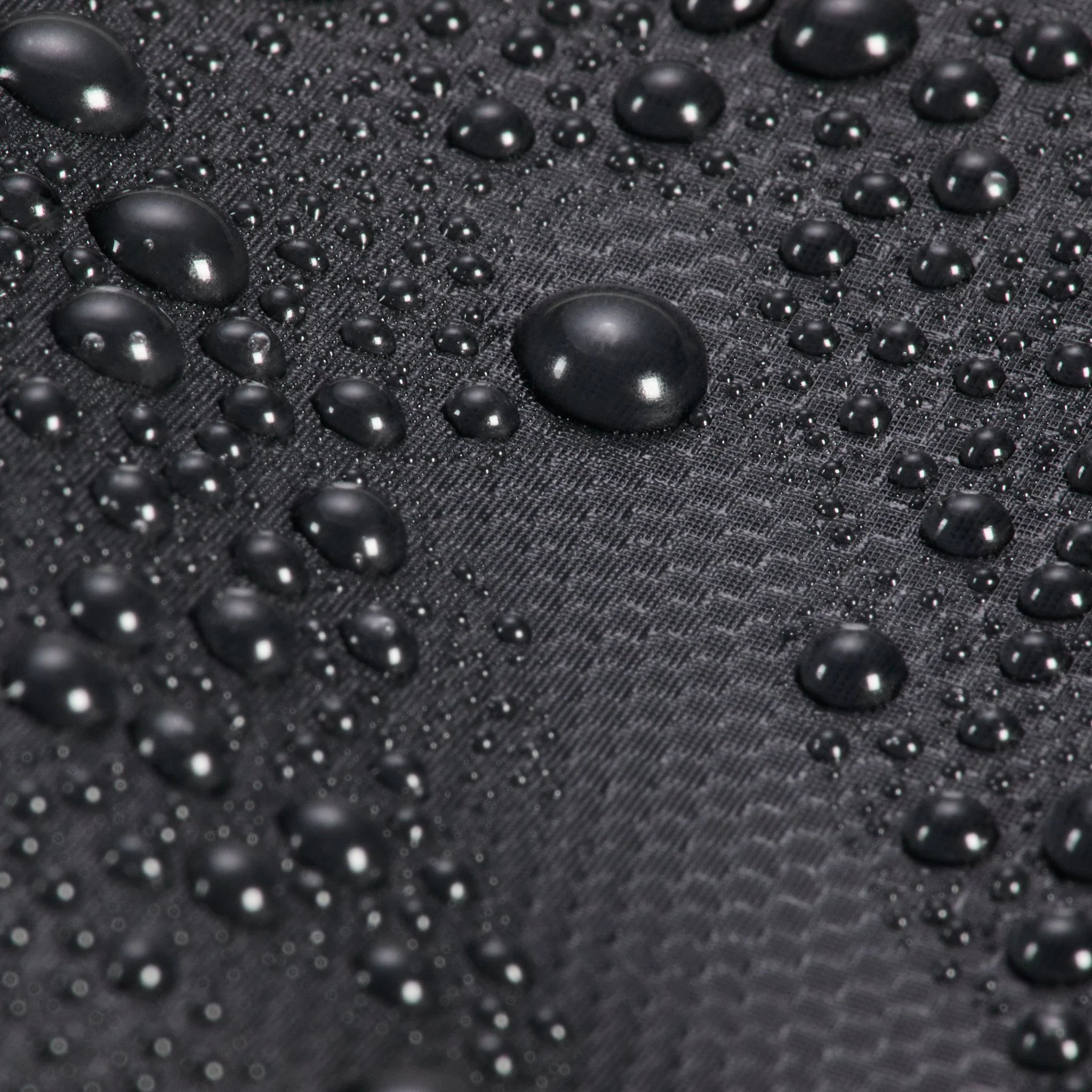 WEB_Okto_1593.jpg