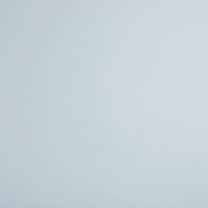 GoldenRatio_HDFoundation_TeganKStudios.gif