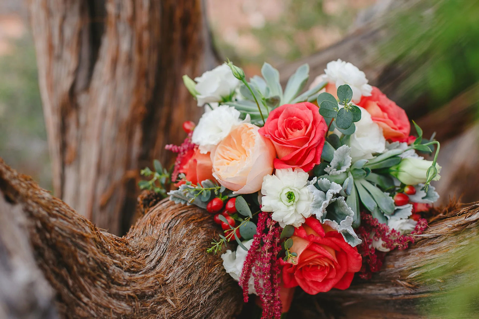 C-Bridals-25.jpg