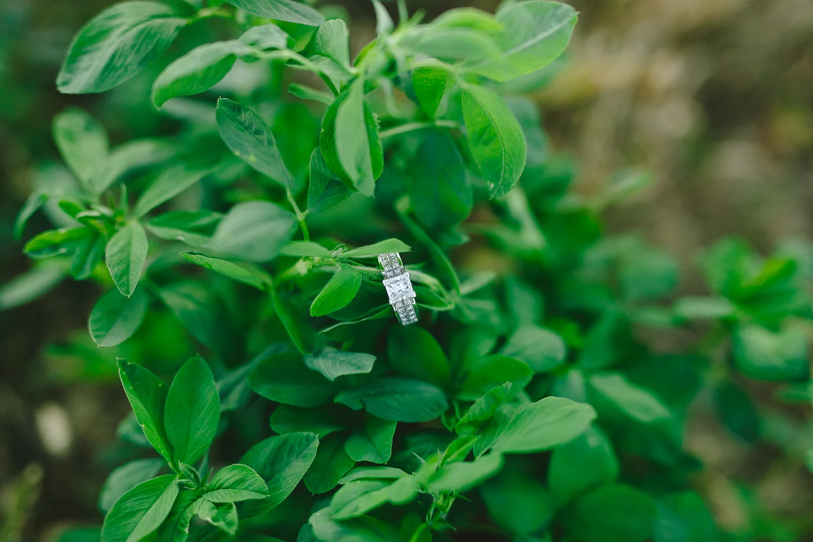 Engagements-247.jpg