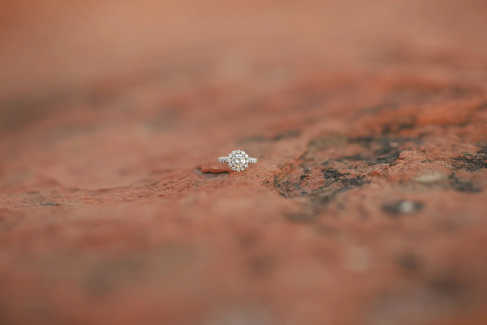 engagements-457.jpg