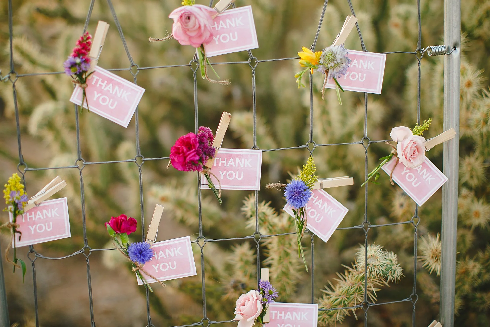 AlyssaEncePhotography_1622.jpg