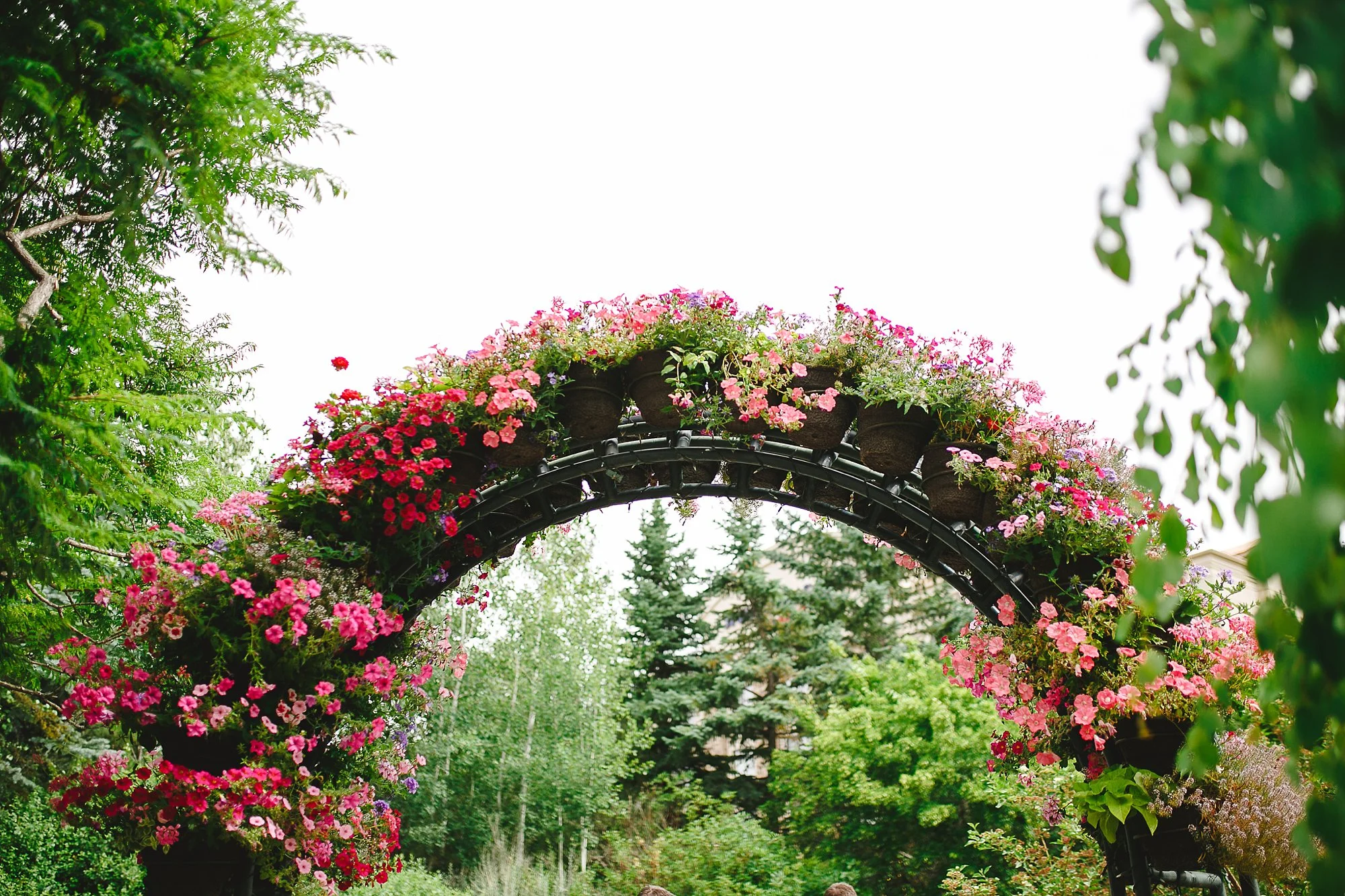 AlyssaEncePhotography_1839.jpg