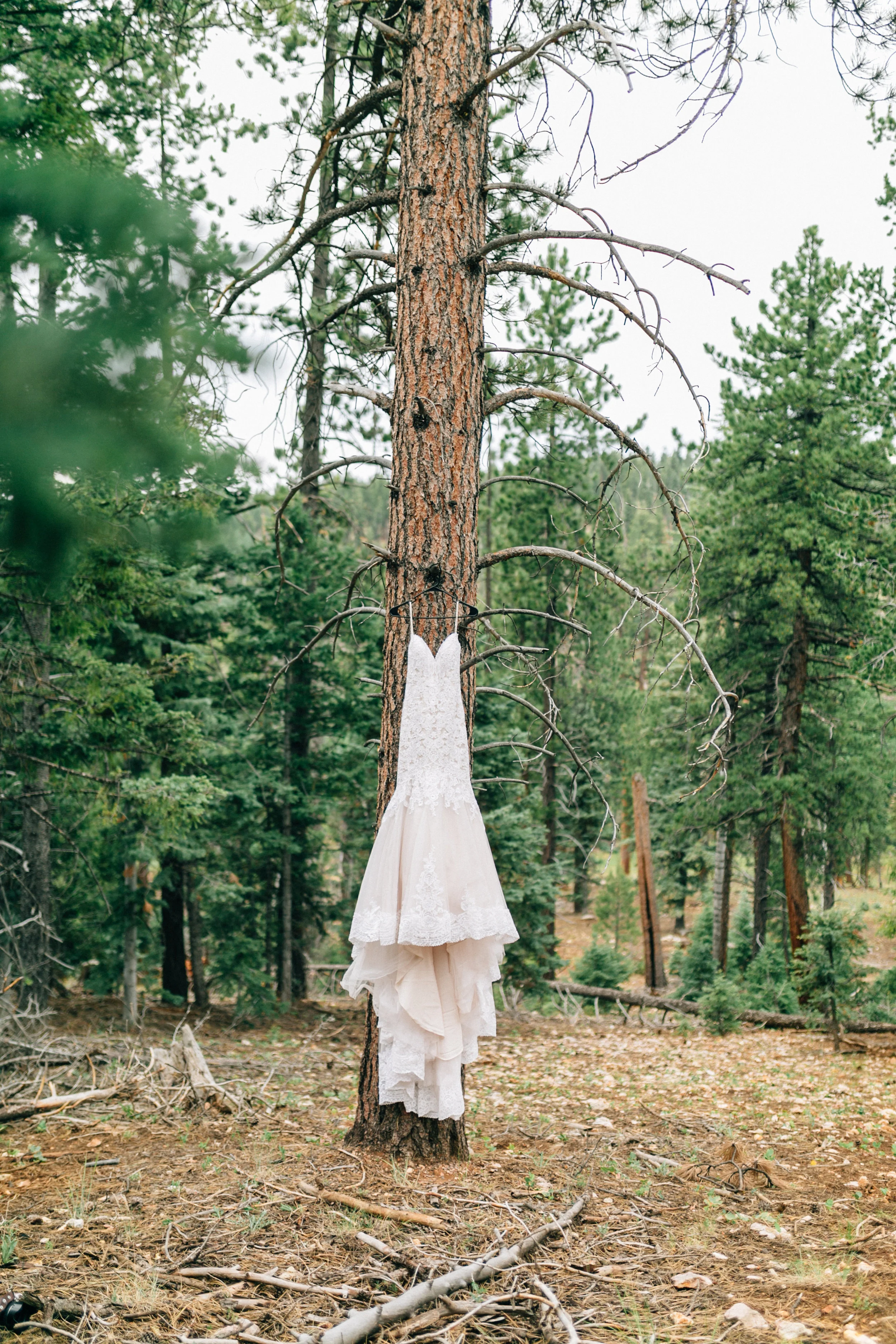 Graves Wedding 7.7.17-42.jpg